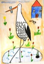 Chorvátovič Dávid.jpg